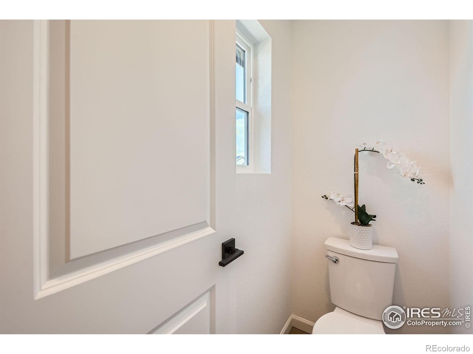MLS Image #20 for 773  star grass lane,fort collins, Colorado