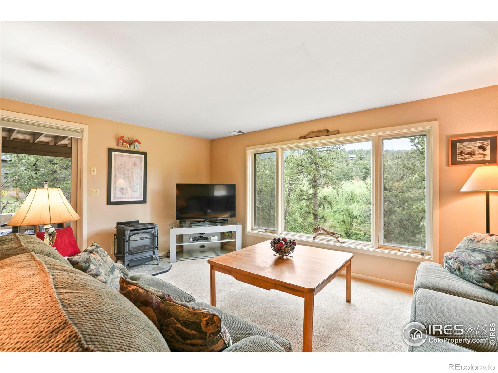 MLS Image #19 for 207  kelly road,boulder, Colorado