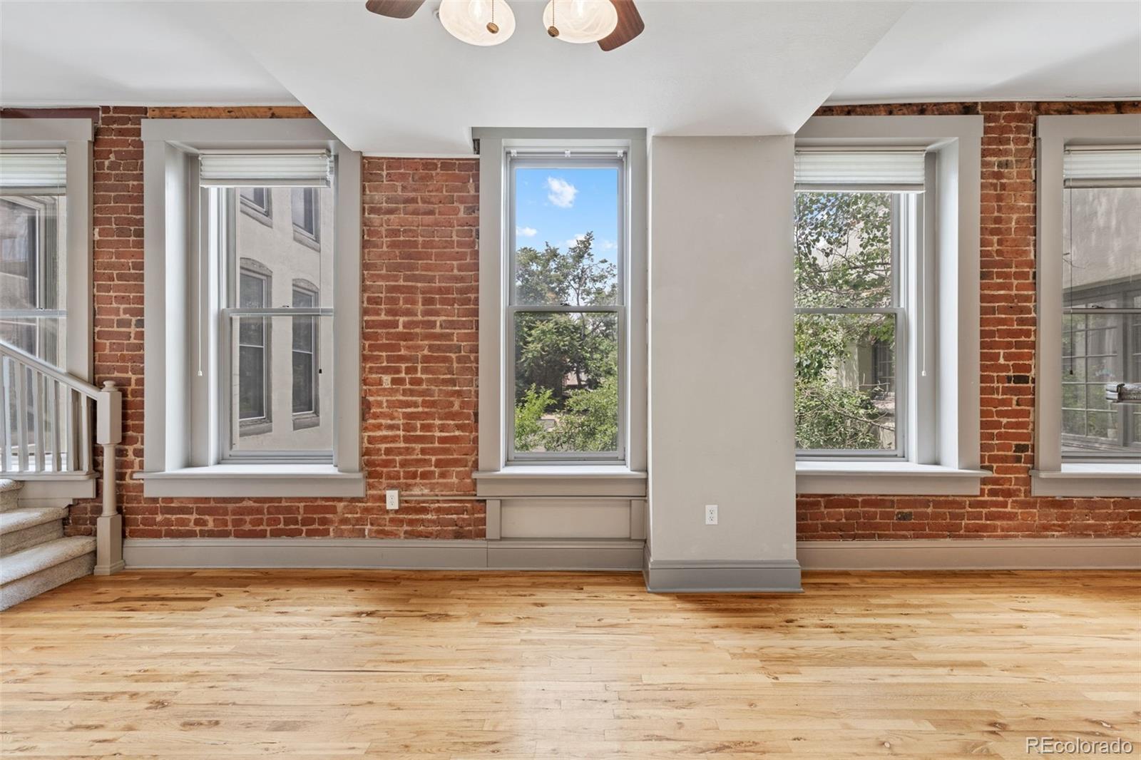 MLS Image #10 for 3211  zuni street,denver, Colorado