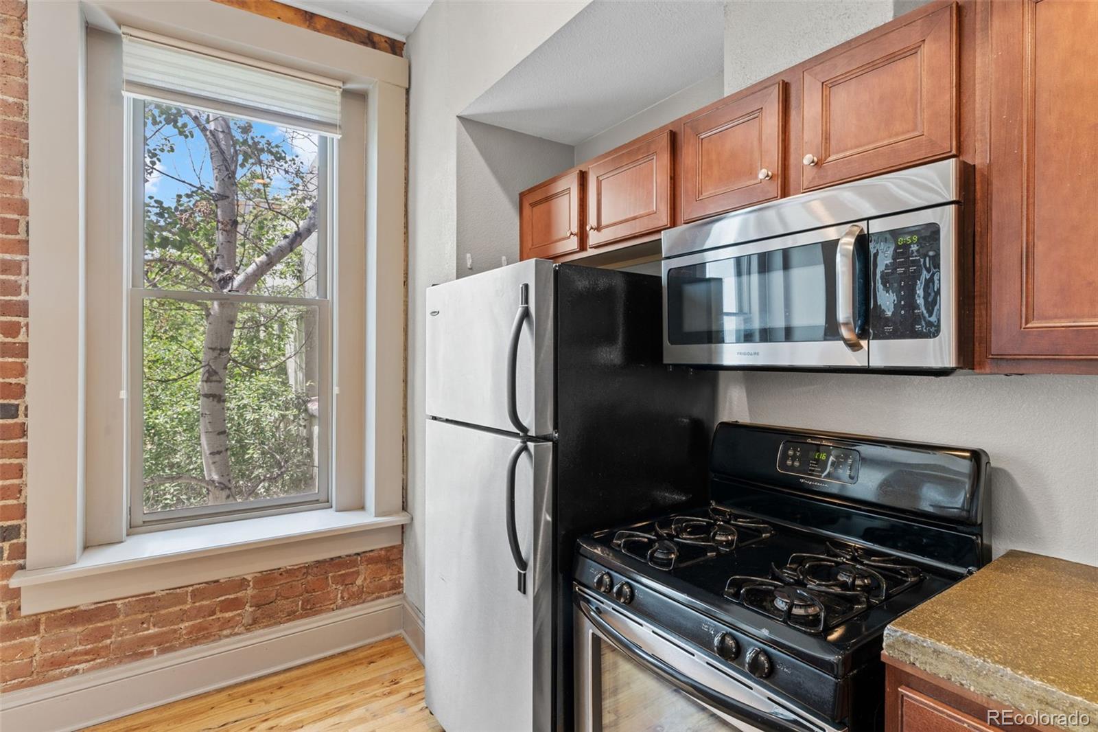 MLS Image #18 for 3211  zuni street,denver, Colorado