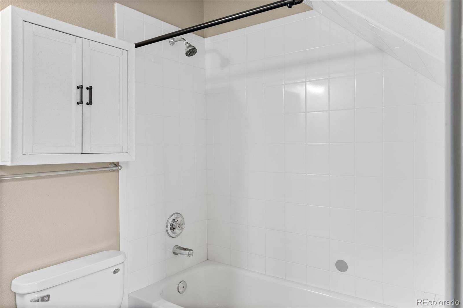 MLS Image #21 for 3211  zuni street,denver, Colorado