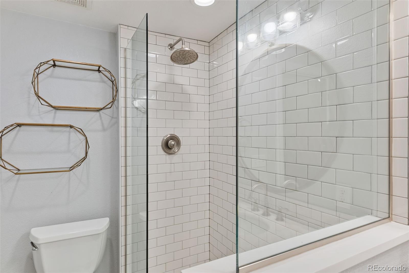 MLS Image #34 for 3211  zuni street,denver, Colorado