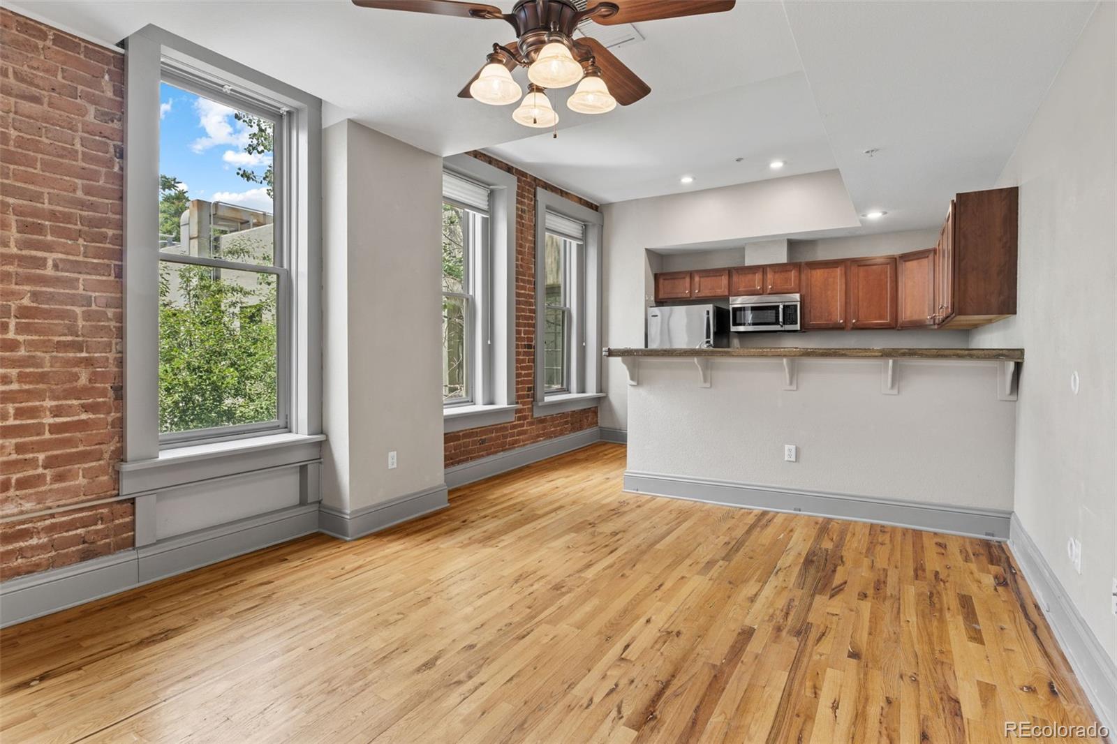 MLS Image #6 for 3211  zuni street,denver, Colorado