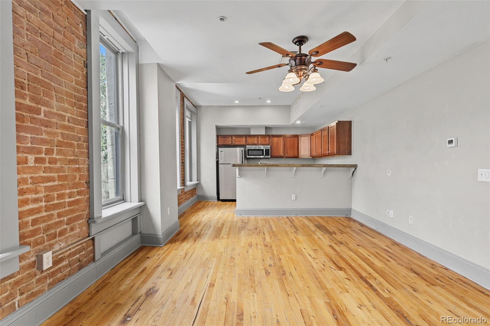MLS Image #7 for 3211  zuni street,denver, Colorado