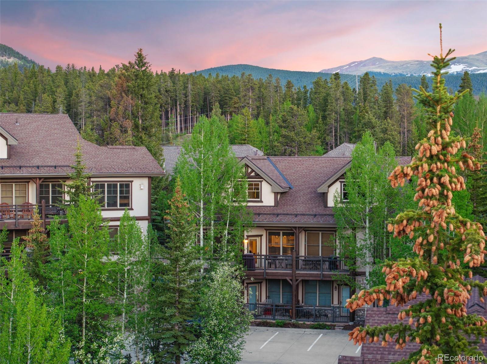 MLS Image #38 for 33  broken lance drive 207s,breckenridge, Colorado