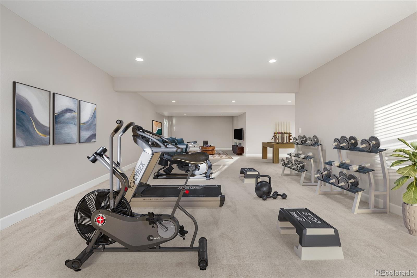MLS Image #25 for 12953  bridge view lane,parker, Colorado