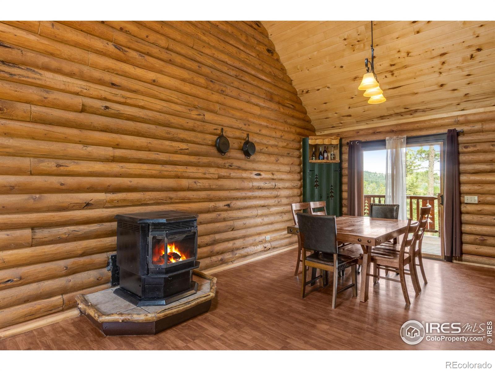 MLS Image #10 for 679  mount massive drive,livermore, Colorado