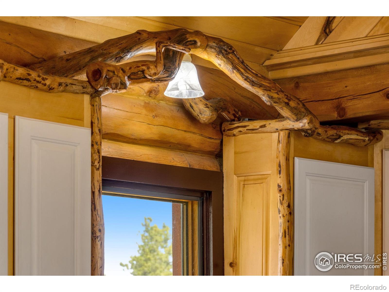MLS Image #13 for 679  mount massive drive,livermore, Colorado