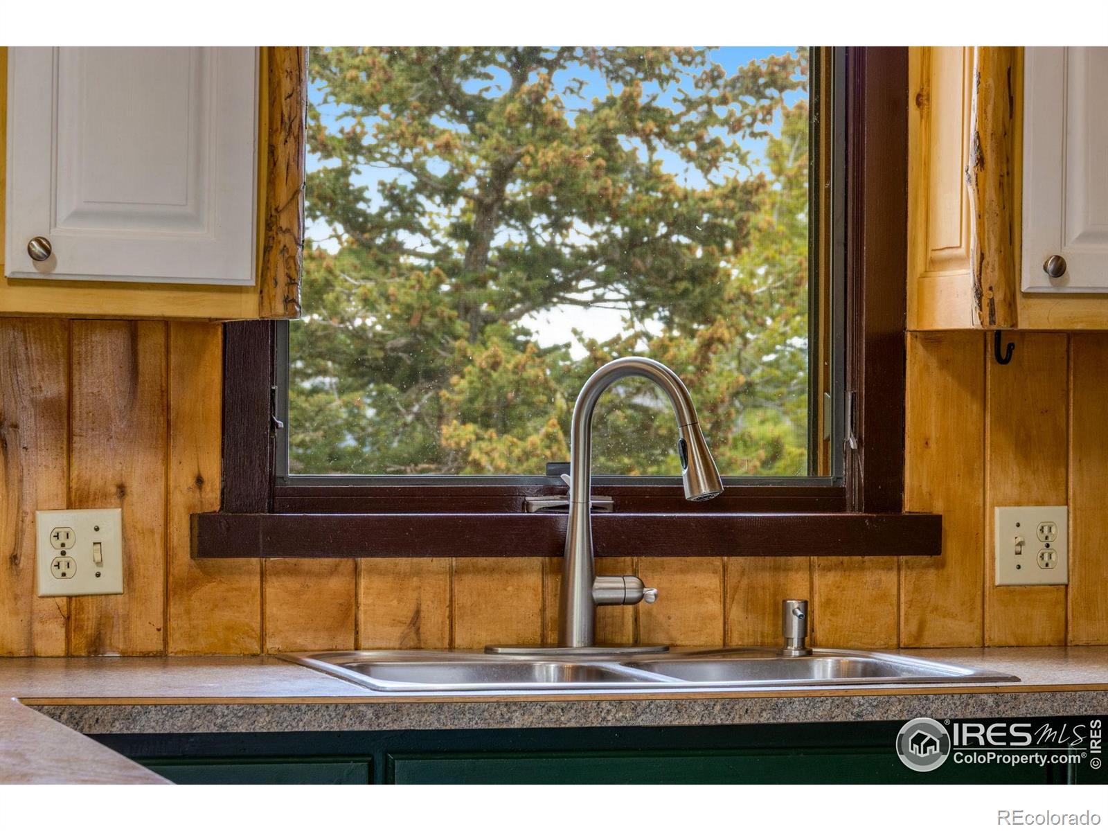 MLS Image #14 for 679  mount massive drive,livermore, Colorado