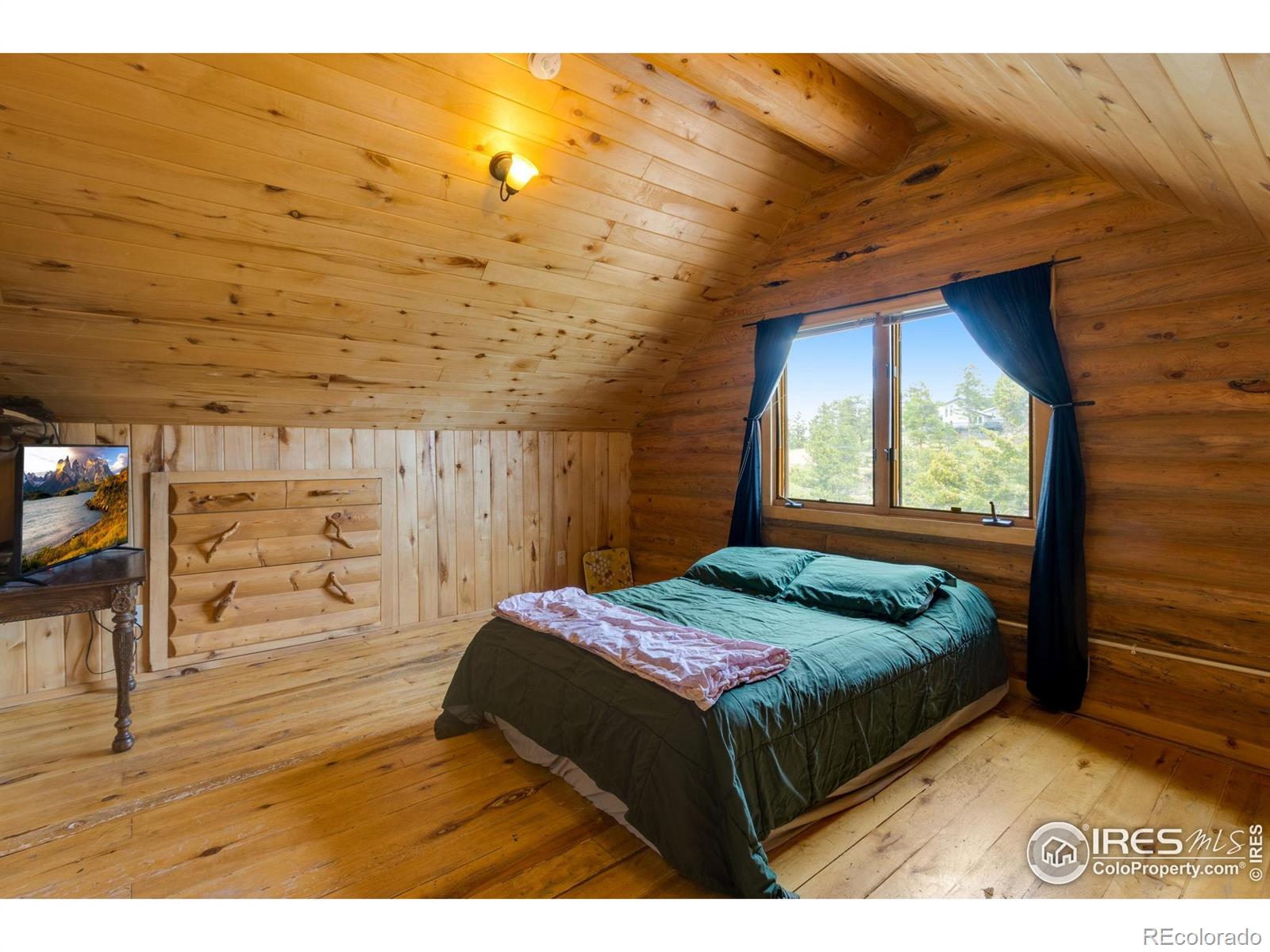 MLS Image #19 for 679  mount massive drive,livermore, Colorado