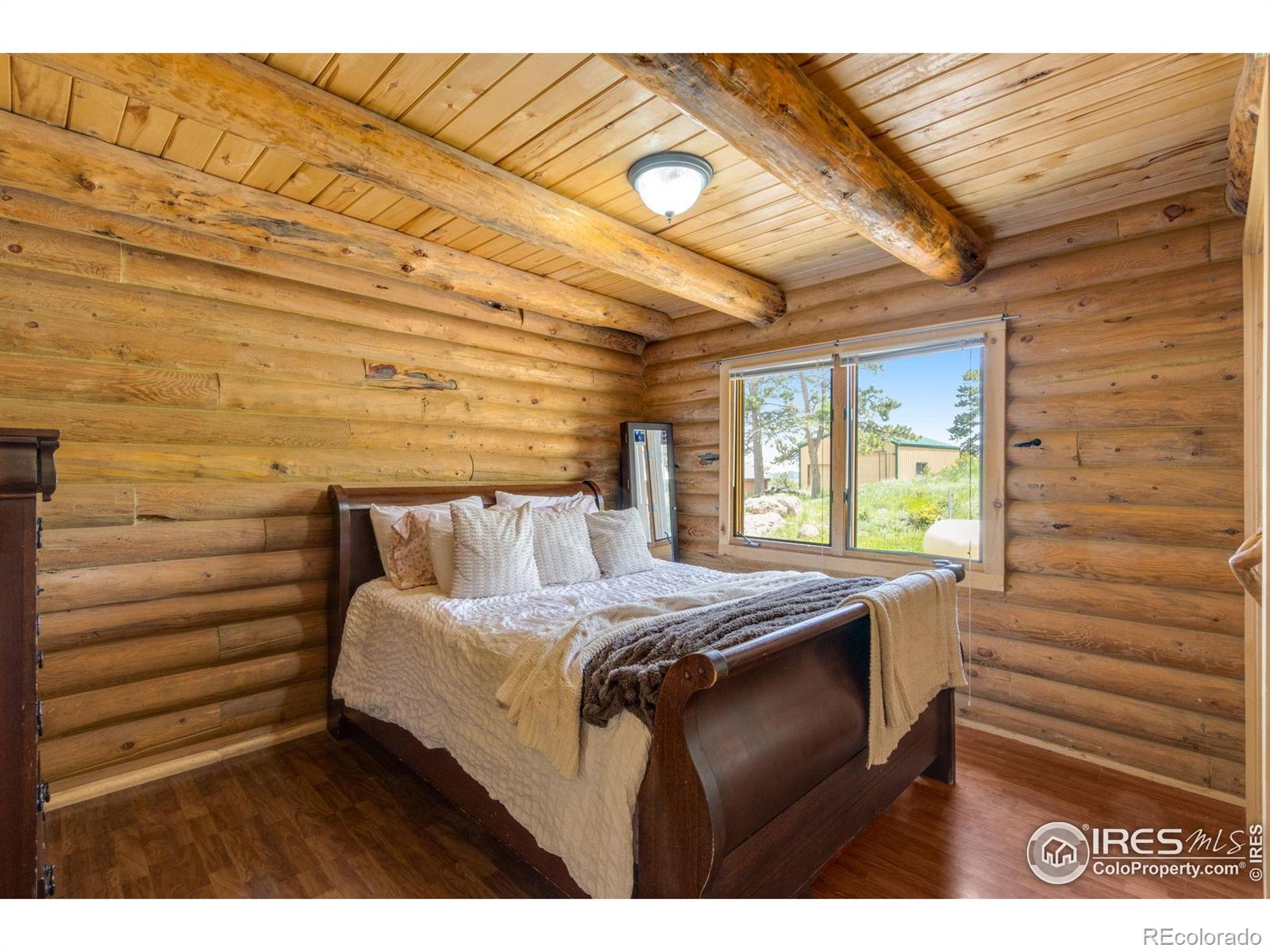 MLS Image #20 for 679  mount massive drive,livermore, Colorado