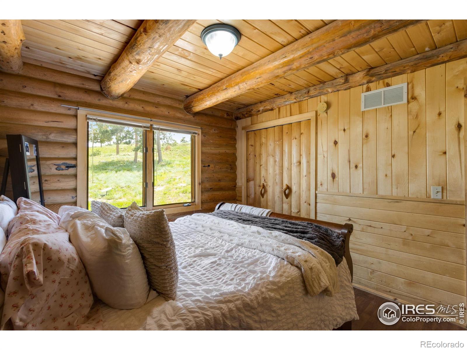 MLS Image #21 for 679  mount massive drive,livermore, Colorado