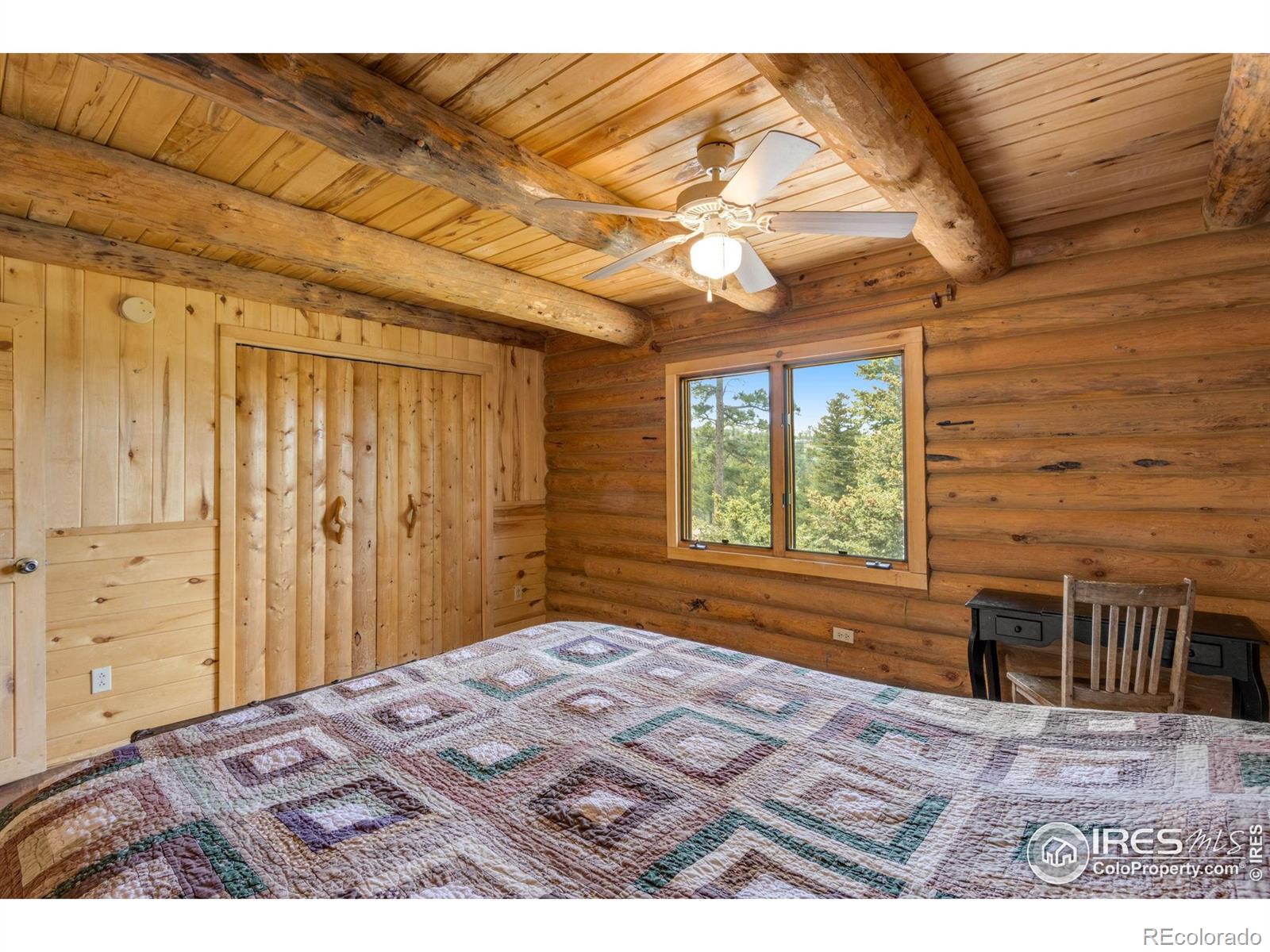 MLS Image #23 for 679  mount massive drive,livermore, Colorado
