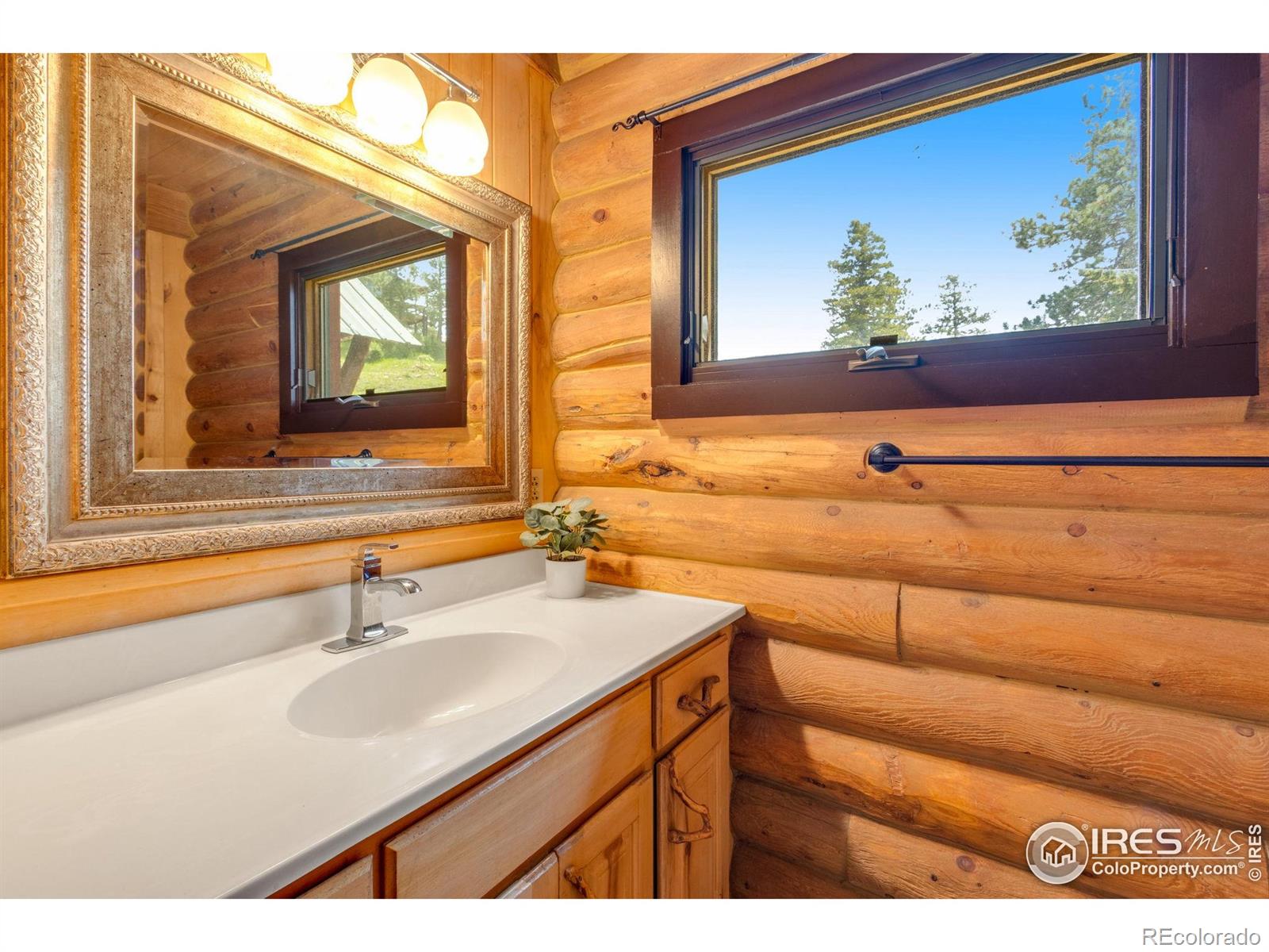 MLS Image #24 for 679  mount massive drive,livermore, Colorado