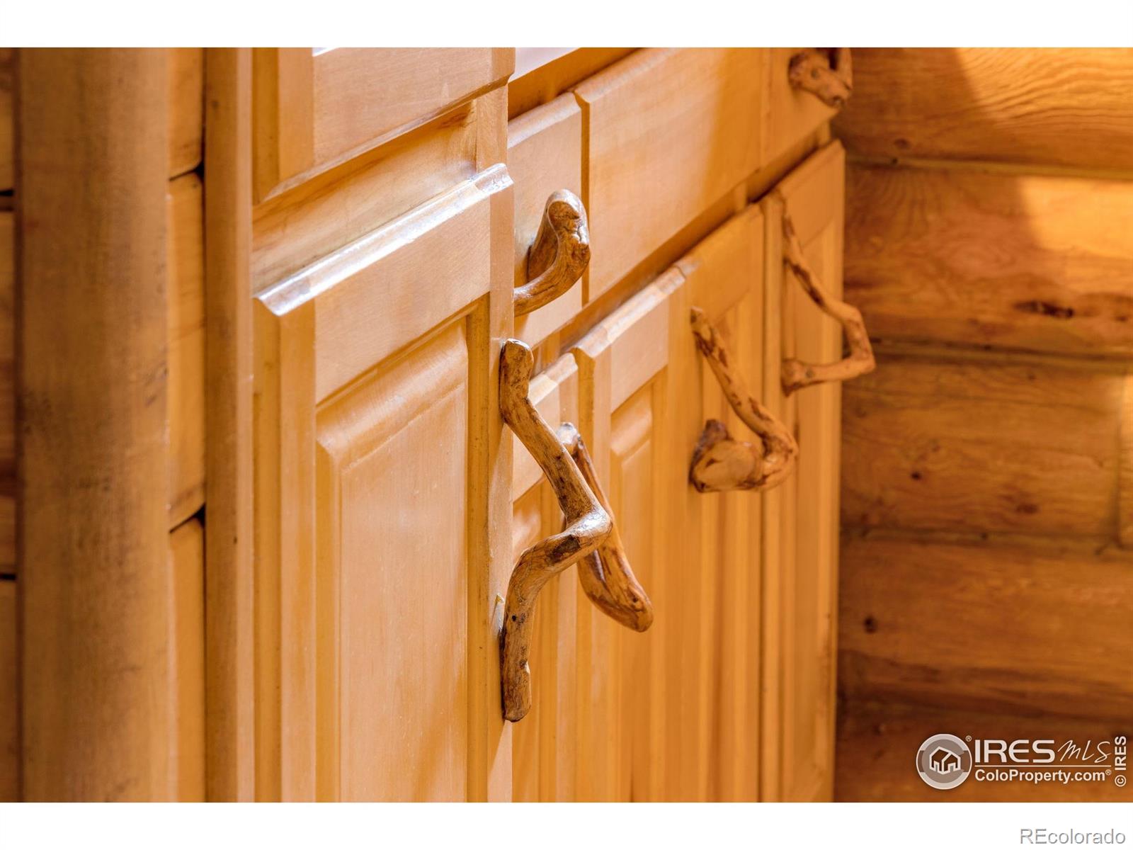 MLS Image #25 for 679  mount massive drive,livermore, Colorado