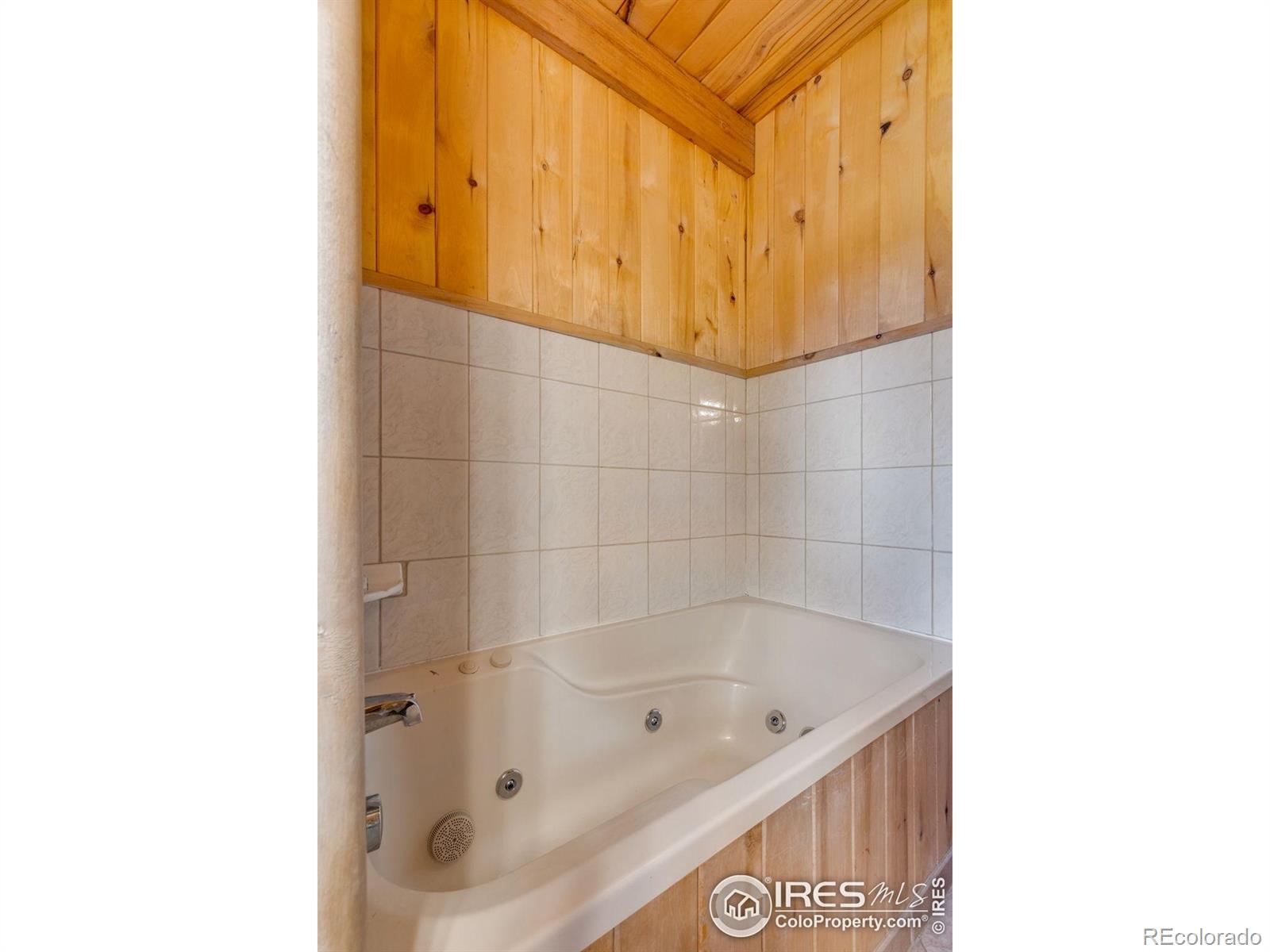 MLS Image #26 for 679  mount massive drive,livermore, Colorado