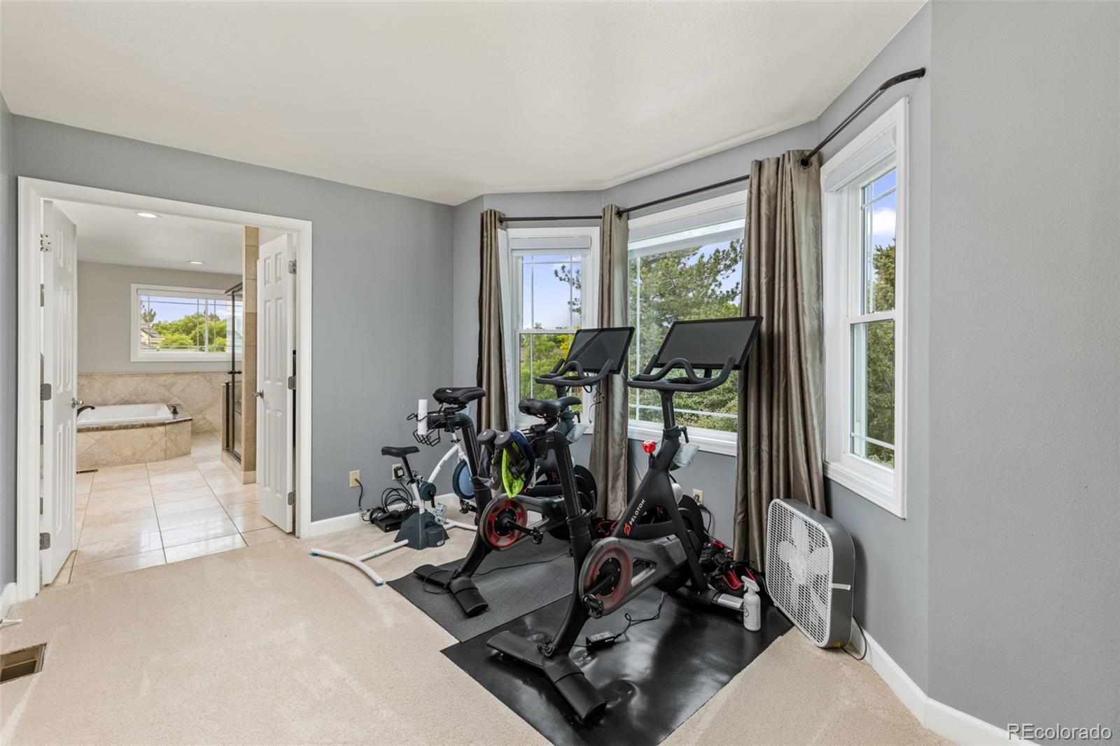 MLS Image #18 for 2555 s zang street,denver, Colorado
