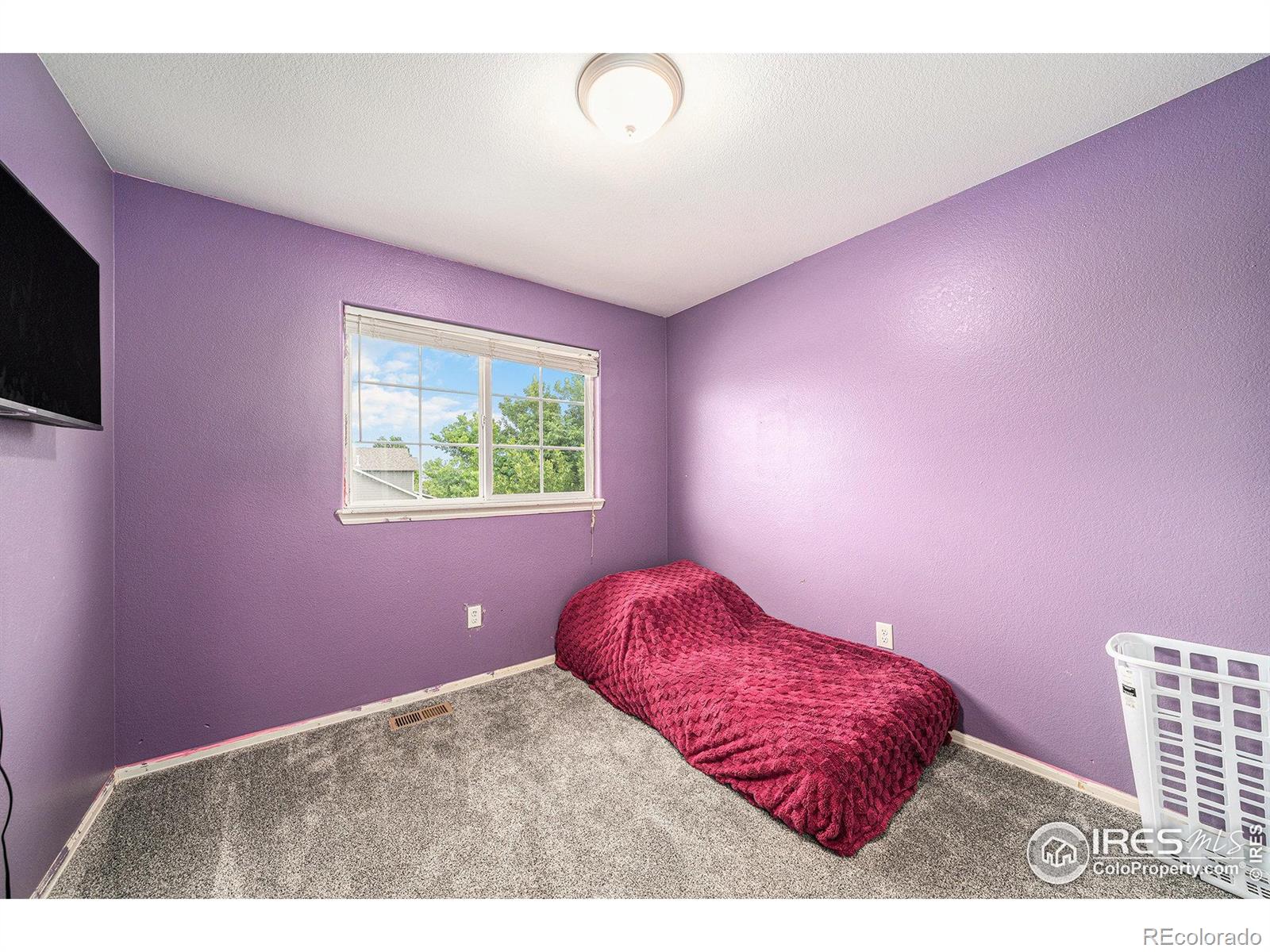 MLS Image #10 for 9673  roadrunner avenue,firestone, Colorado