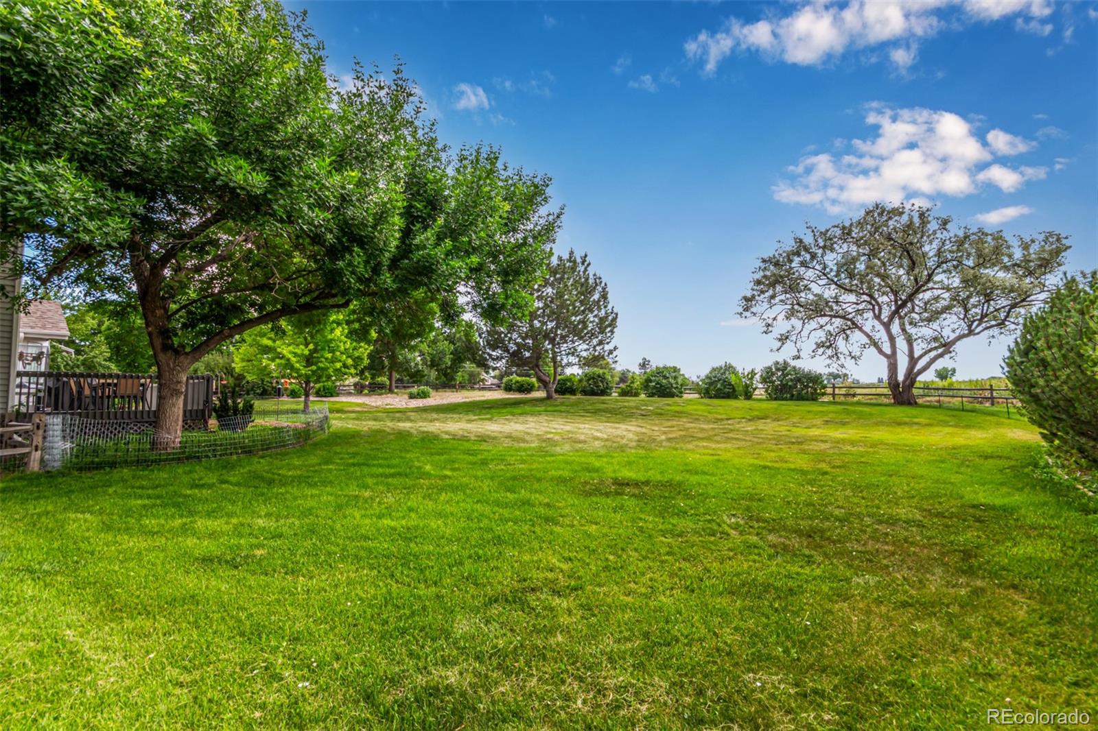MLS Image #12 for 4444  crane court,loveland, Colorado