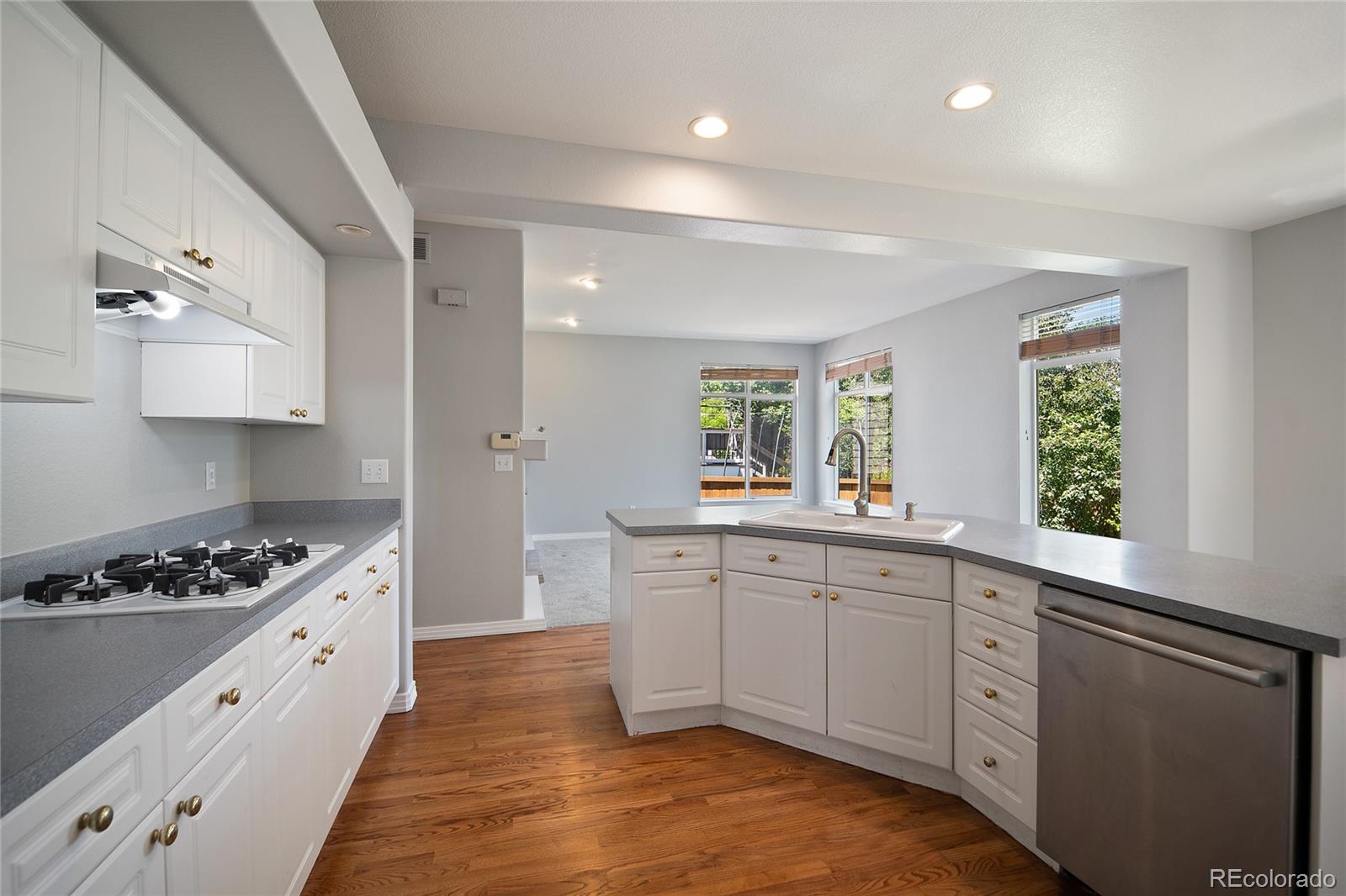 MLS Image #4 for 17235  opal hill drive,parker, Colorado