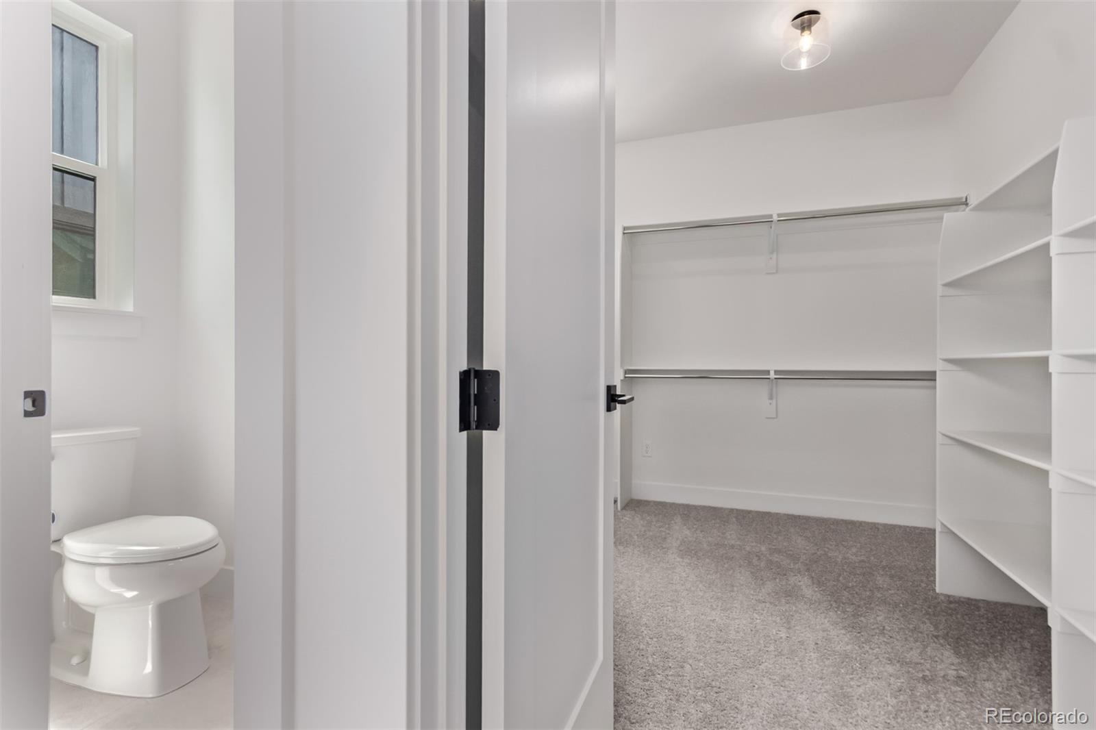 MLS Image #29 for 5608  grandville avenue,longmont, Colorado