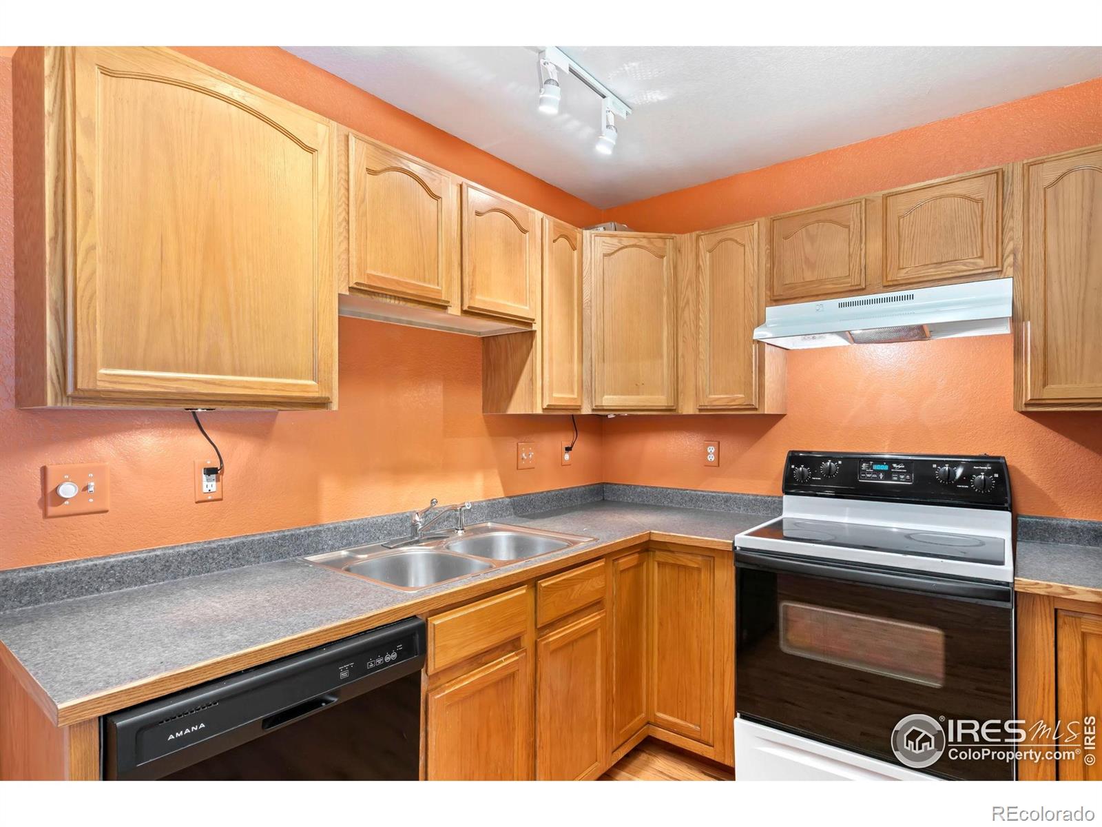 MLS Image #4 for 3350  saratoga street,wellington, Colorado