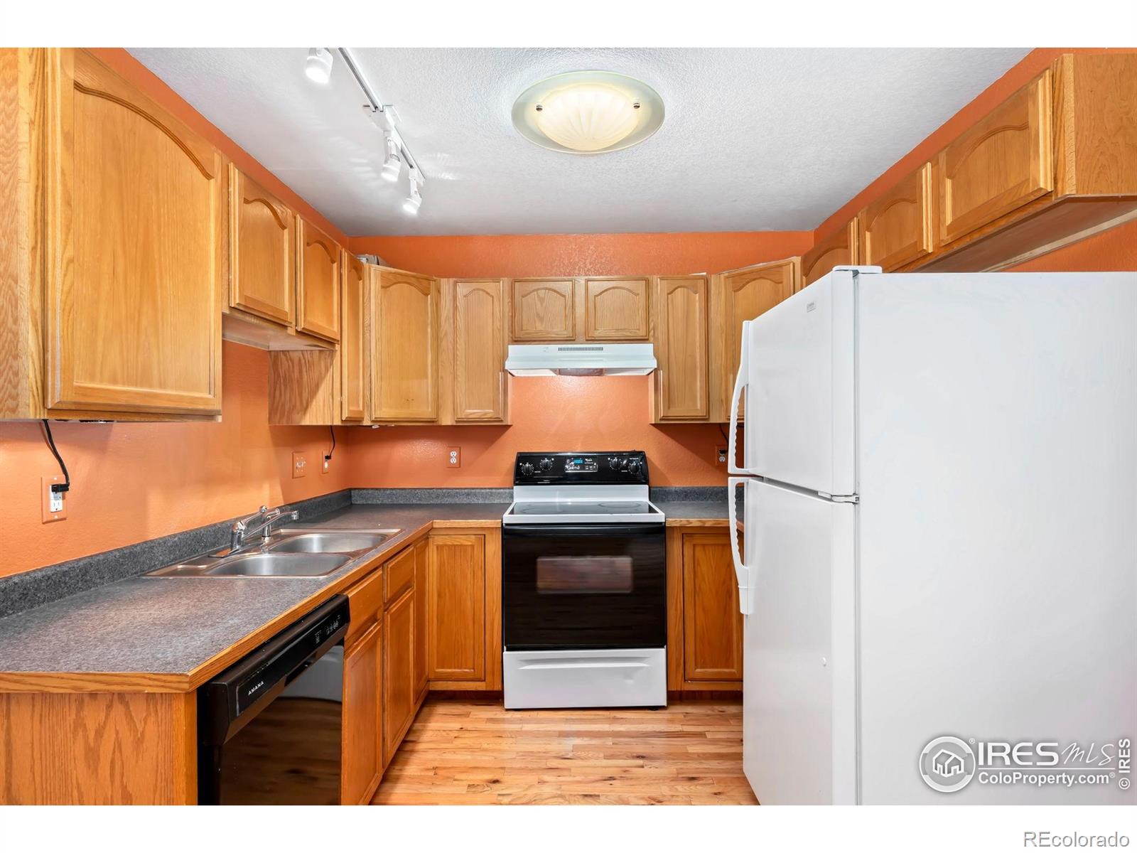 MLS Image #5 for 3350  saratoga street,wellington, Colorado