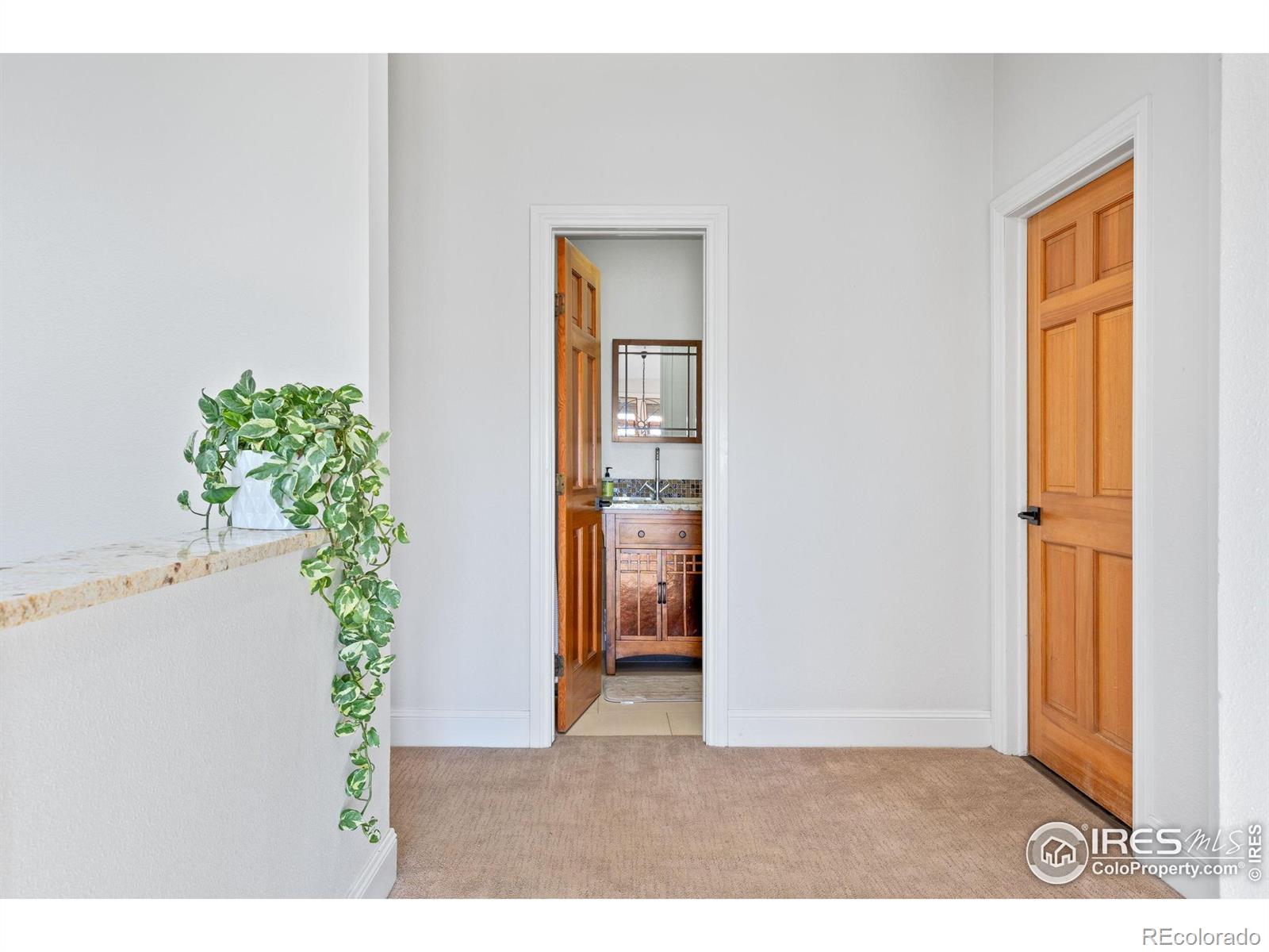 MLS Image #22 for 8543  middle fork road,boulder, Colorado