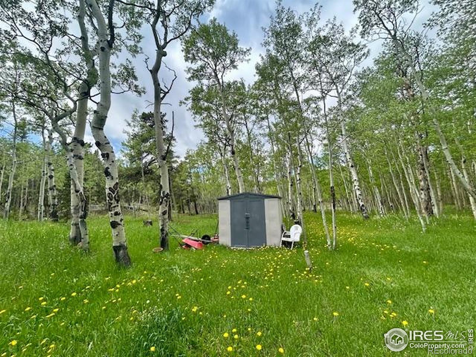 MLS Image #26 for 1746  lump gulch road,black hawk, Colorado