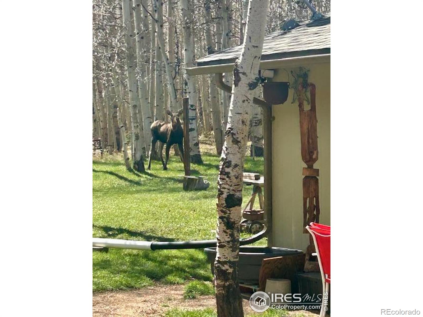 MLS Image #27 for 1746  lump gulch road,black hawk, Colorado