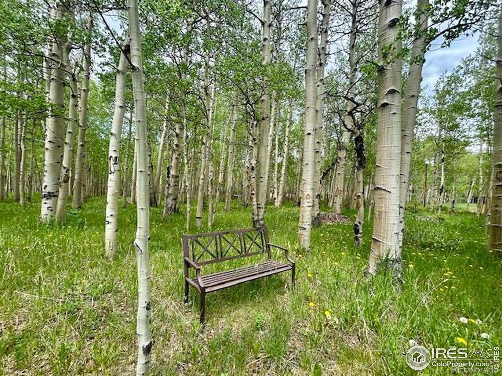 MLS Image #30 for 1746  lump gulch road,black hawk, Colorado