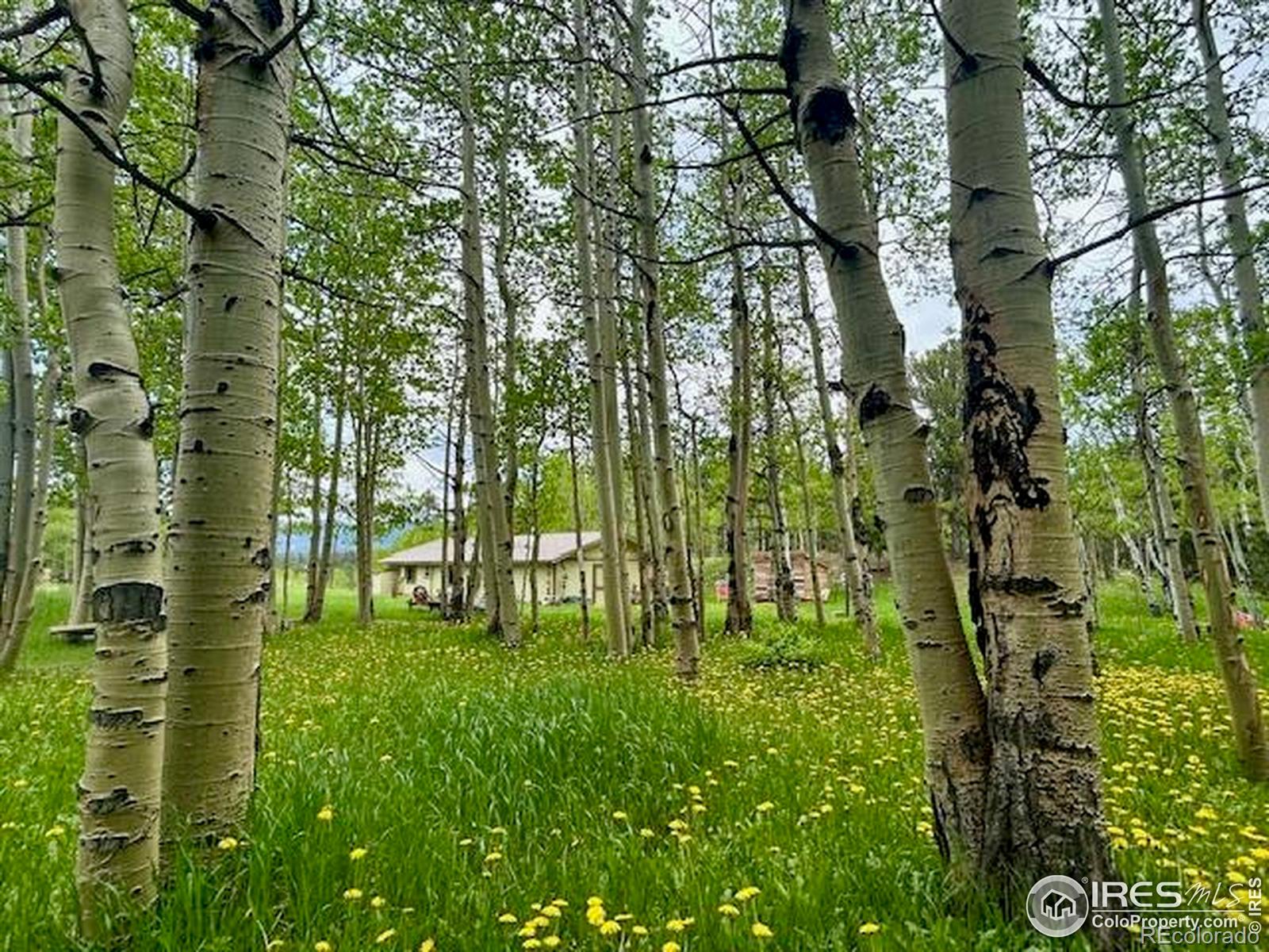MLS Image #33 for 1746  lump gulch road,black hawk, Colorado