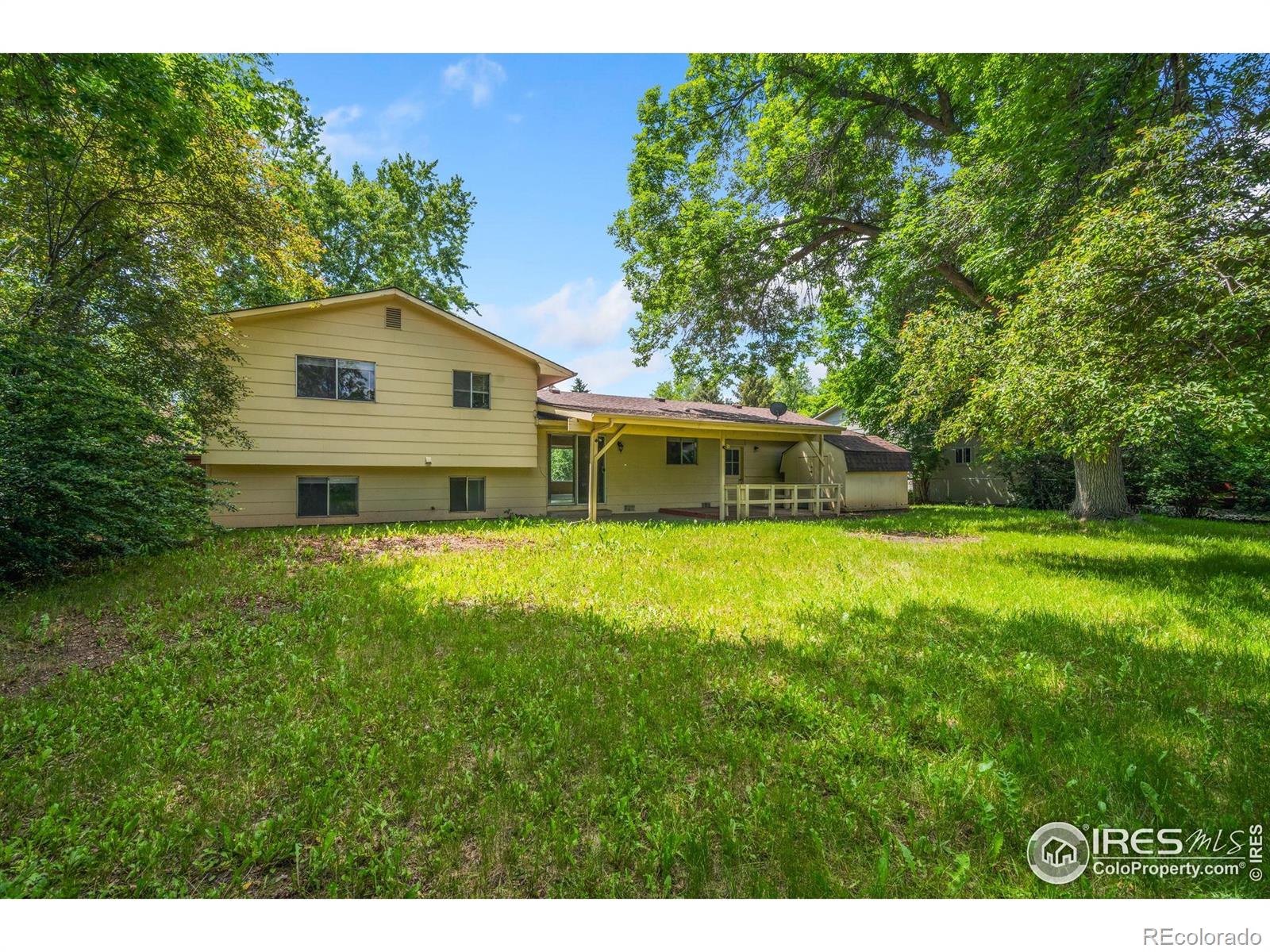 MLS Image #14 for 2016  manchester drive,fort collins, Colorado