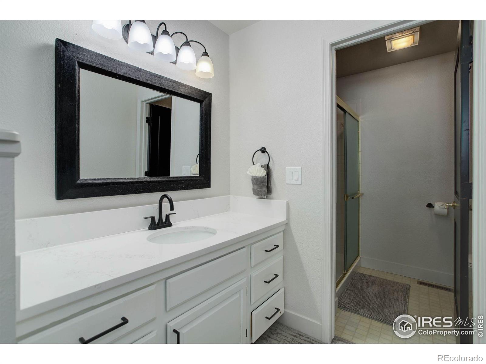 MLS Image #12 for 1250  honeysuckle court,windsor, Colorado