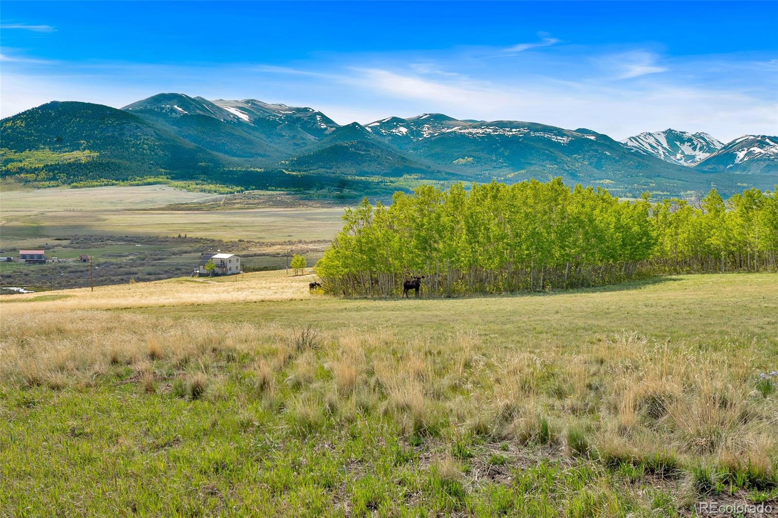 MLS Image #19 for 633  french pass circle,jefferson, Colorado
