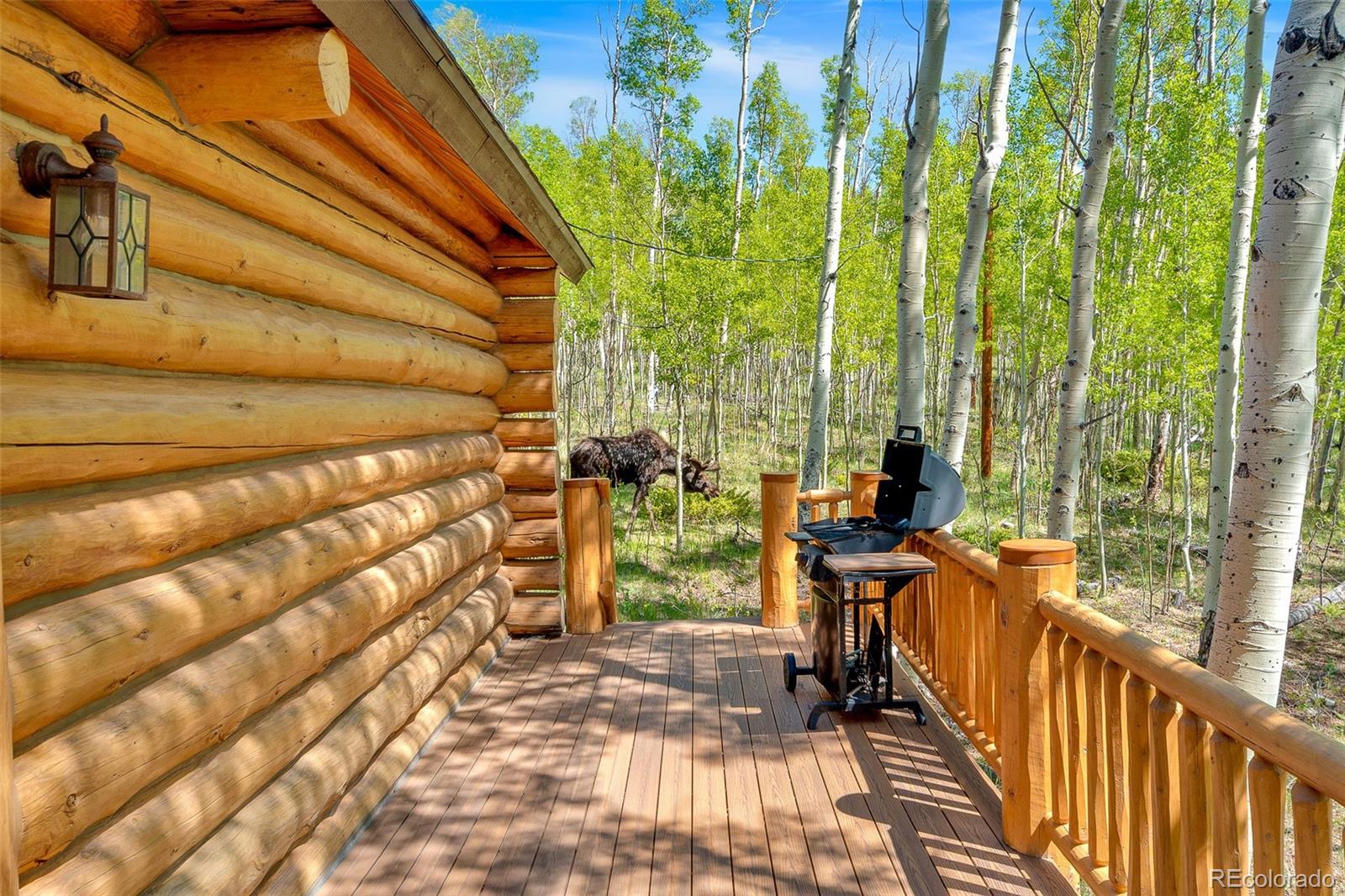 MLS Image #30 for 633  french pass circle,jefferson, Colorado
