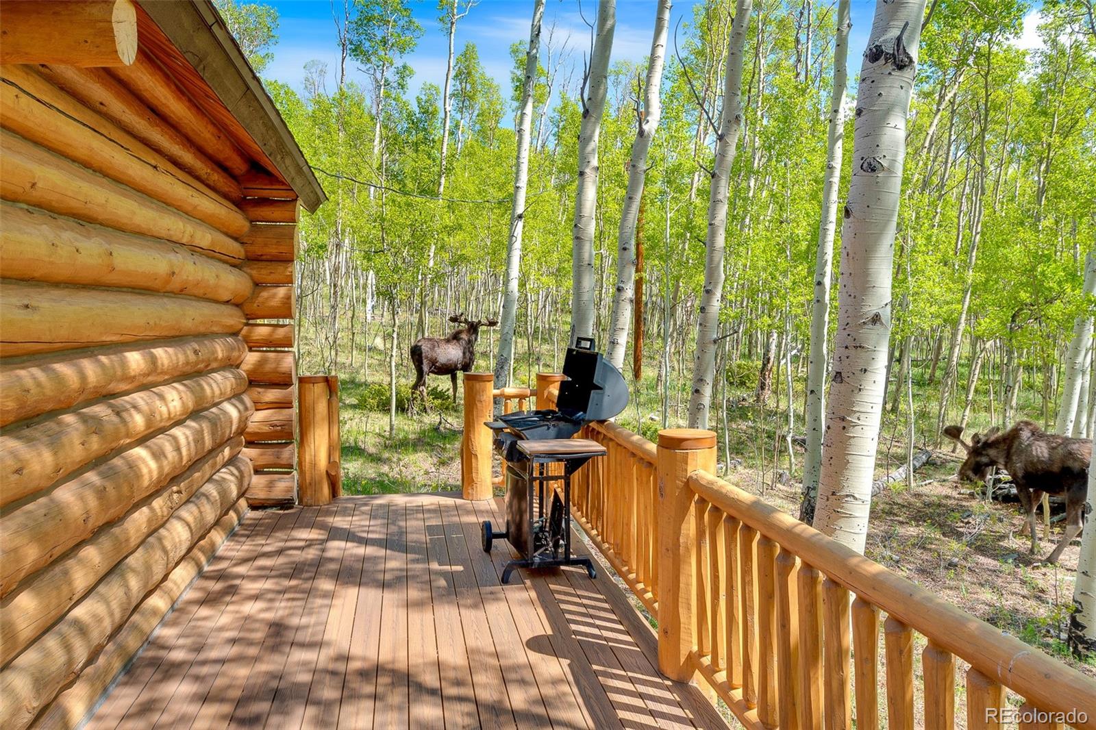 MLS Image #33 for 633  french pass circle,jefferson, Colorado