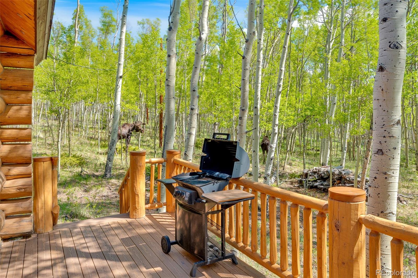 MLS Image #37 for 633  french pass circle,jefferson, Colorado
