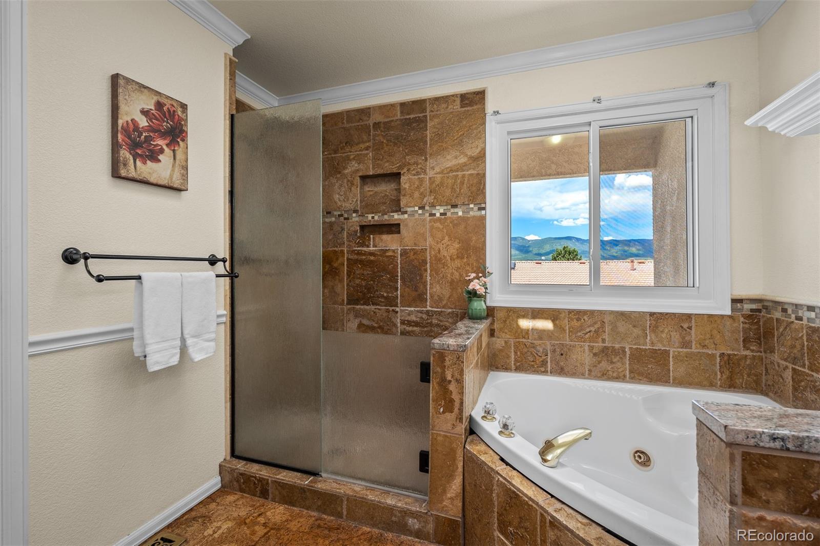 MLS Image #29 for 206  luxury lane,colorado springs, Colorado