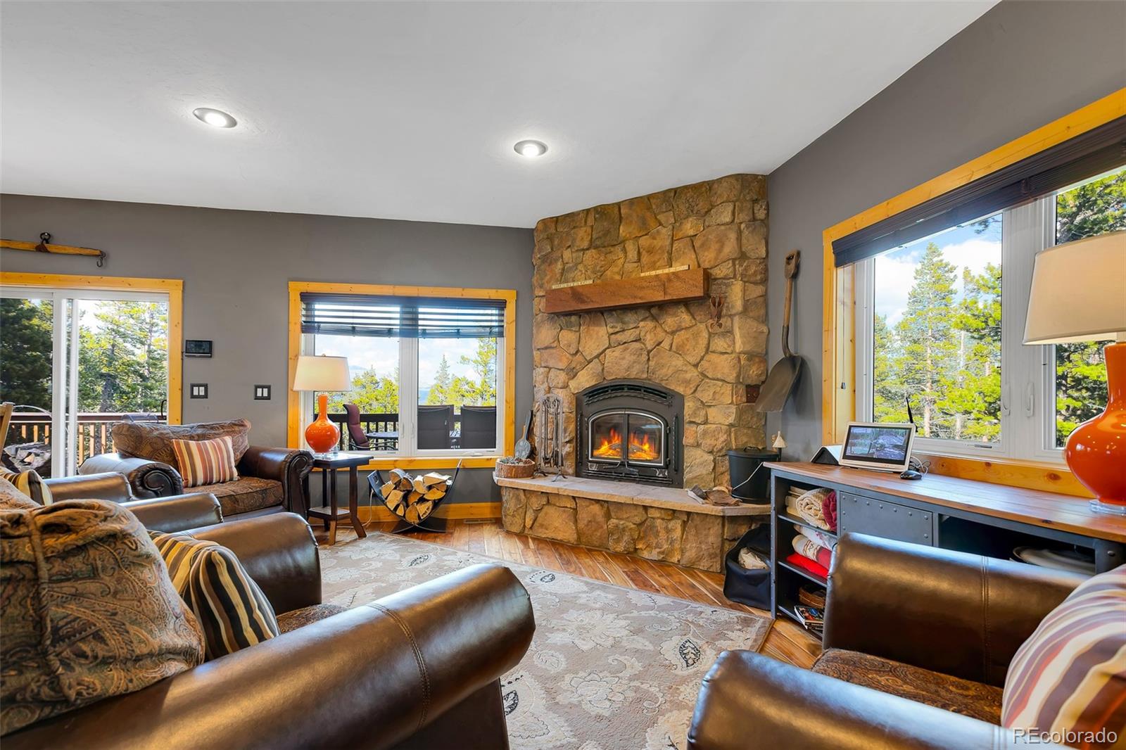 MLS Image #10 for 115  trails end ,fairplay, Colorado