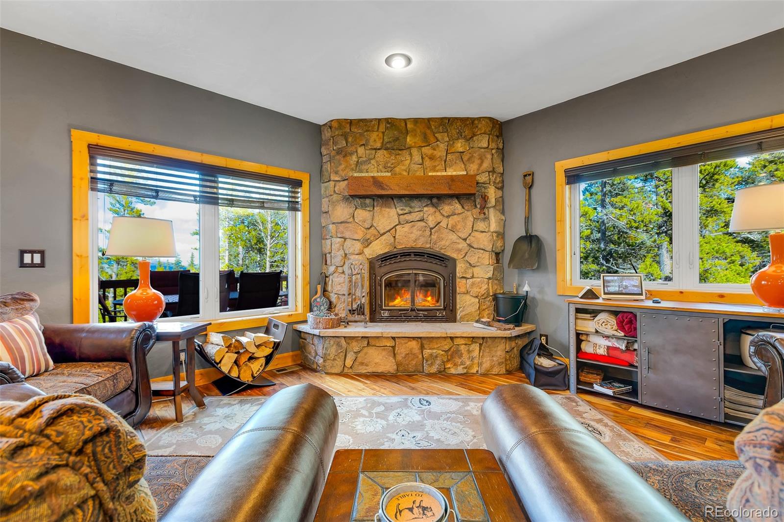MLS Image #16 for 115  trails end ,fairplay, Colorado