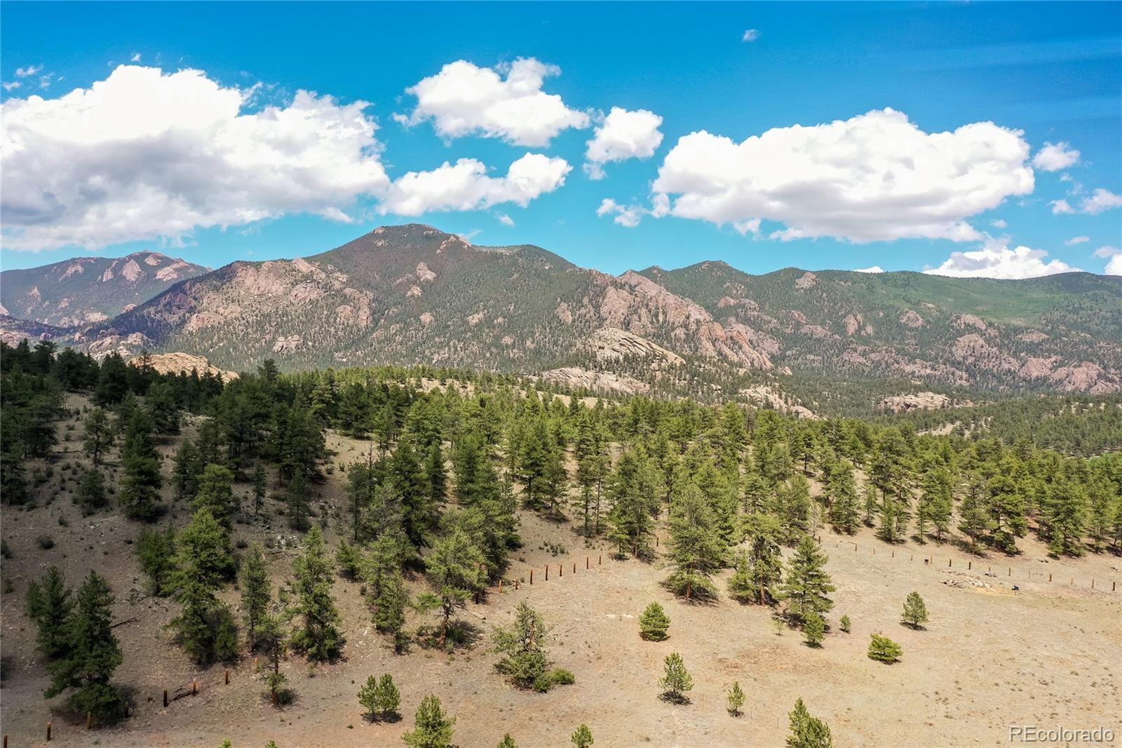 MLS Image #36 for 145  main street,lake george, Colorado
