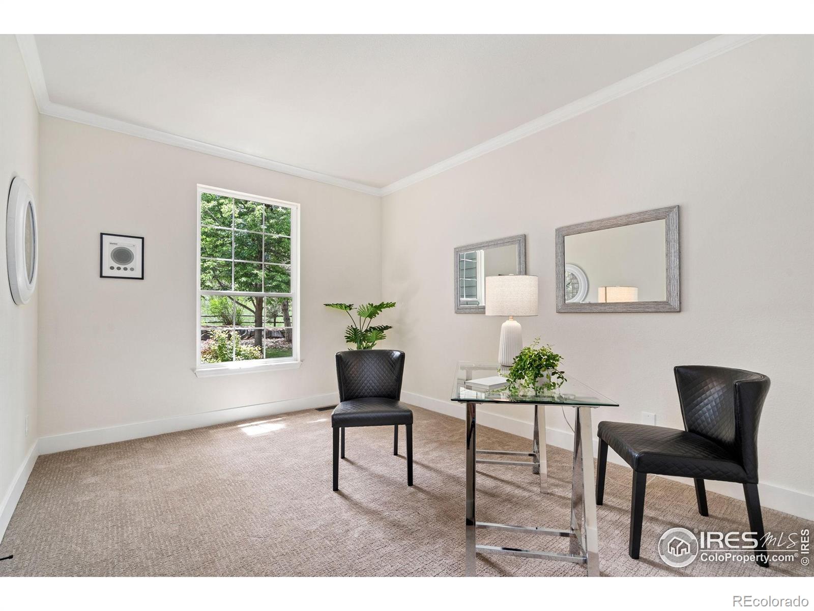 MLS Image #10 for 2037  river west drive,windsor, Colorado