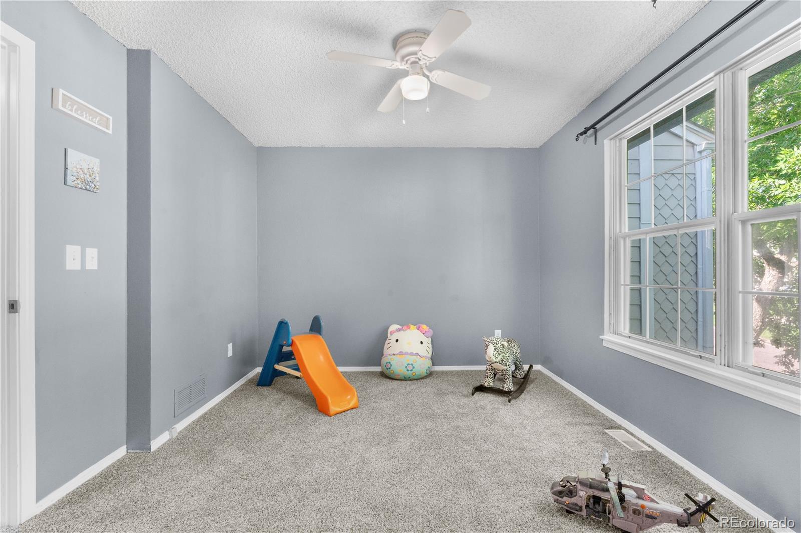 MLS Image #13 for 10819  summerset way,parker, Colorado