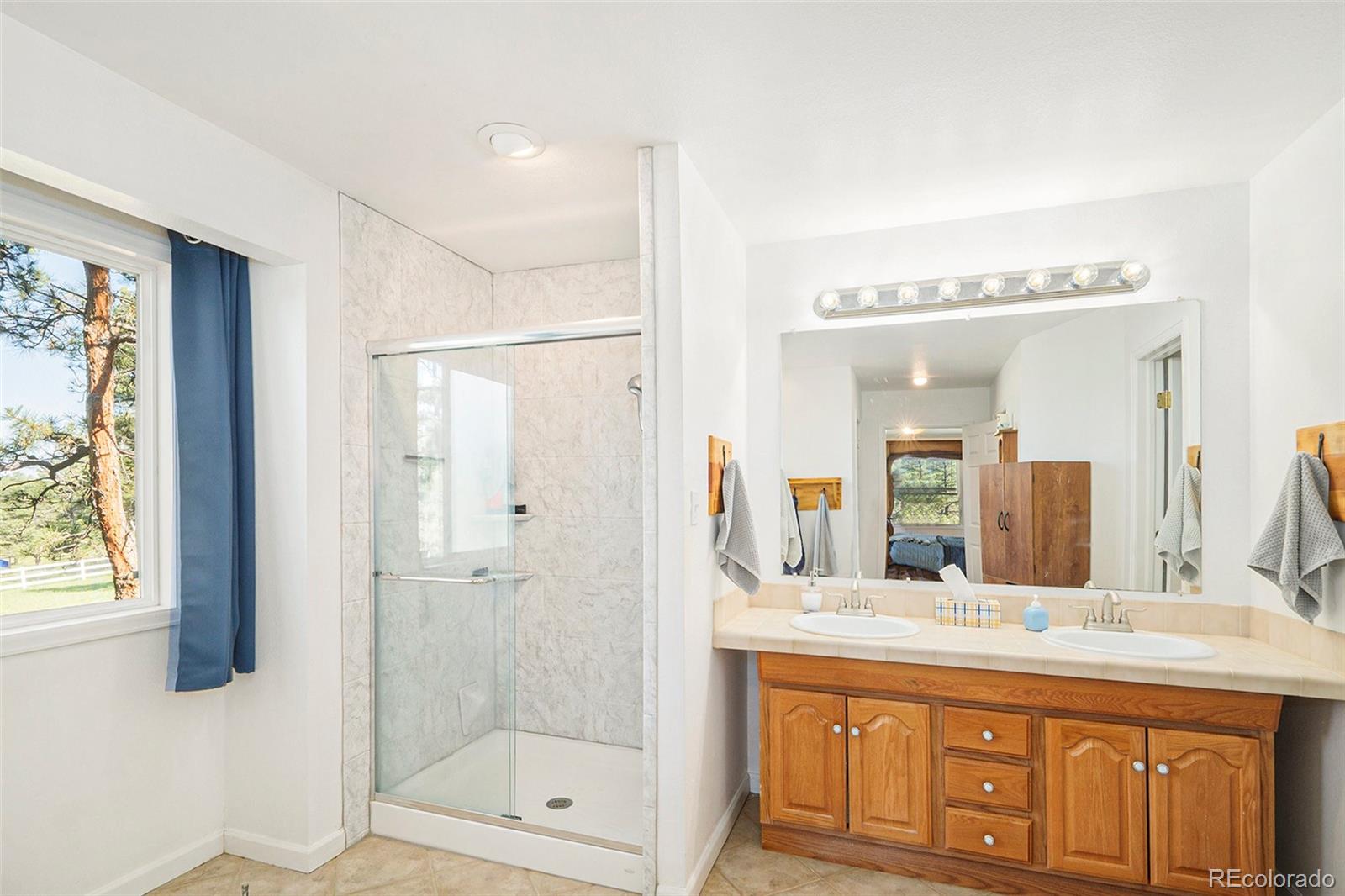 MLS Image #21 for 23250  emerald trail,deer trail, Colorado