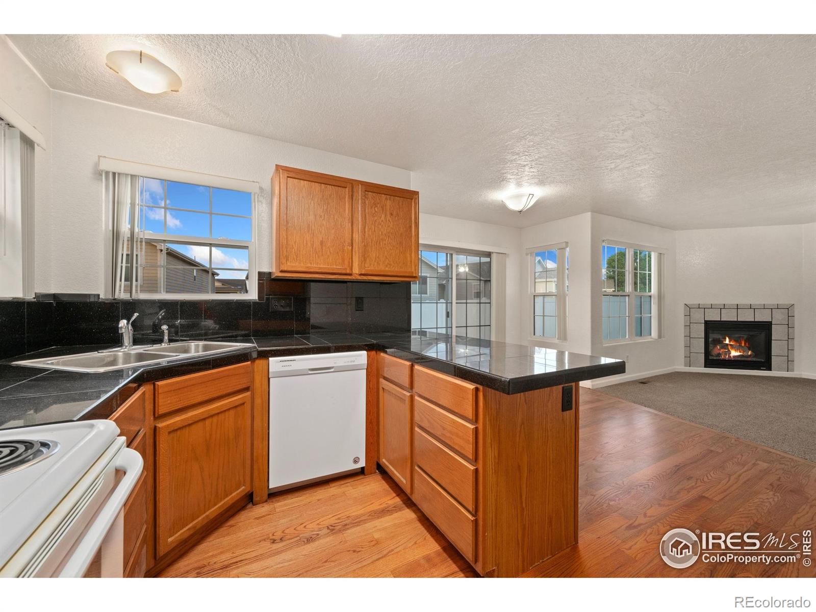 MLS Image #8 for 3316  barbera street,evans, Colorado