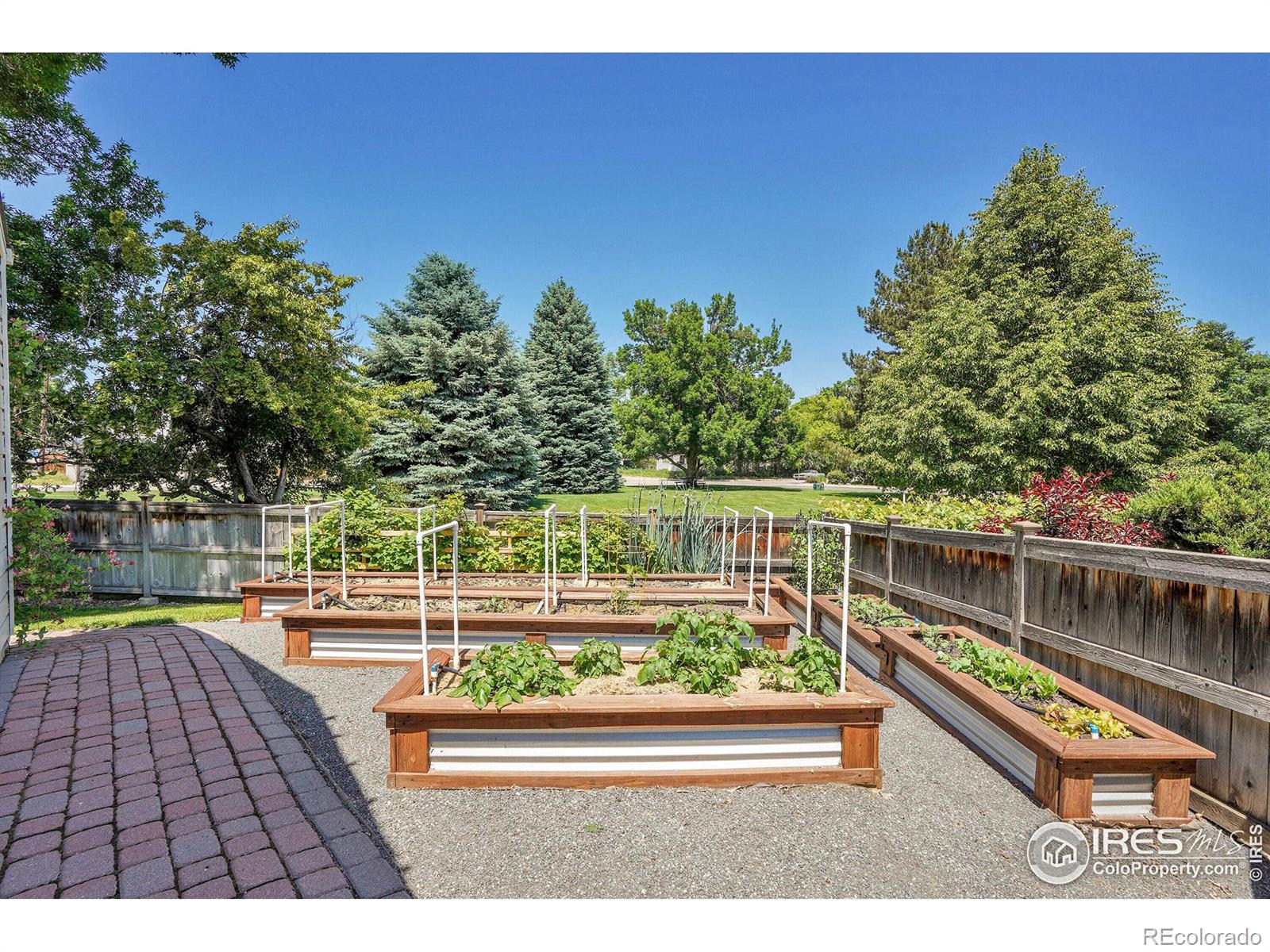 MLS Image #27 for 623  mead court,louisville, Colorado