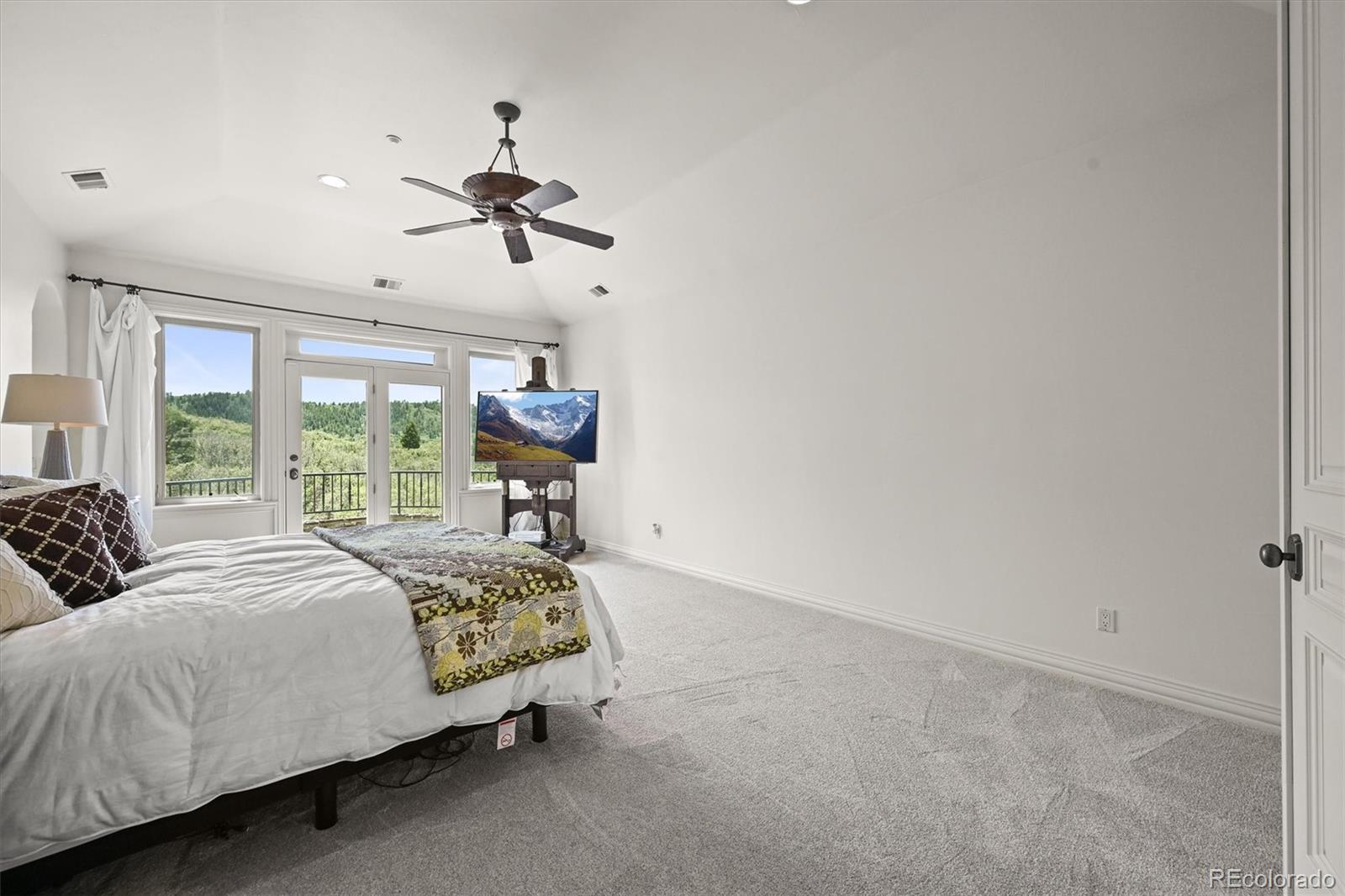 MLS Image #17 for 4222  serenade road,castle rock, Colorado
