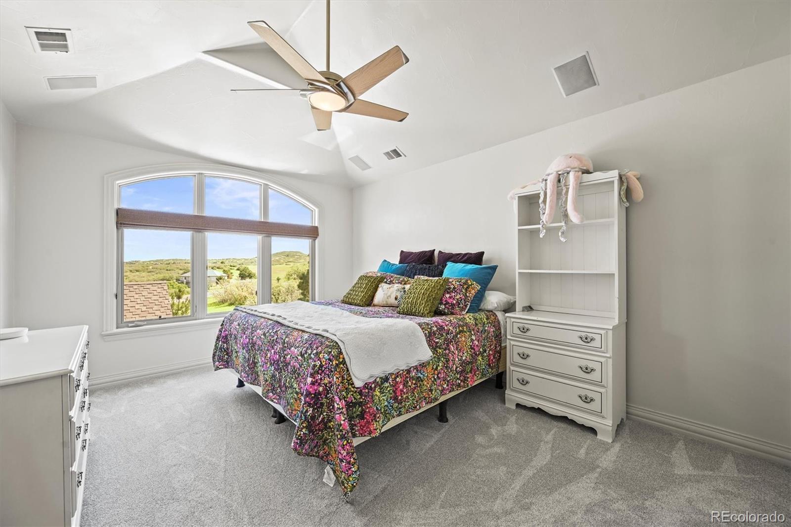 MLS Image #23 for 4222  serenade road,castle rock, Colorado