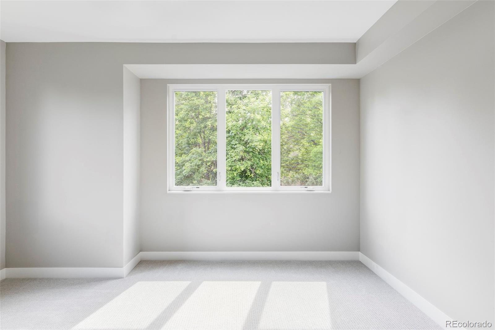 MLS Image #16 for 1543  glencoe street,denver, Colorado